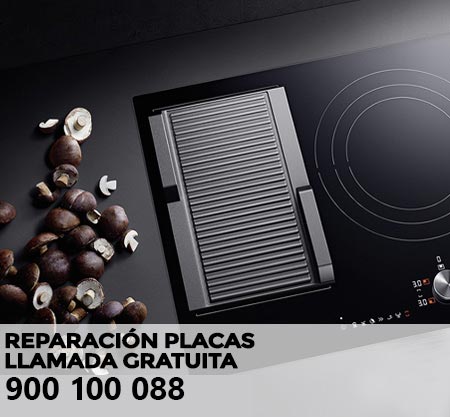Reparación averías placa de cocción Ignis